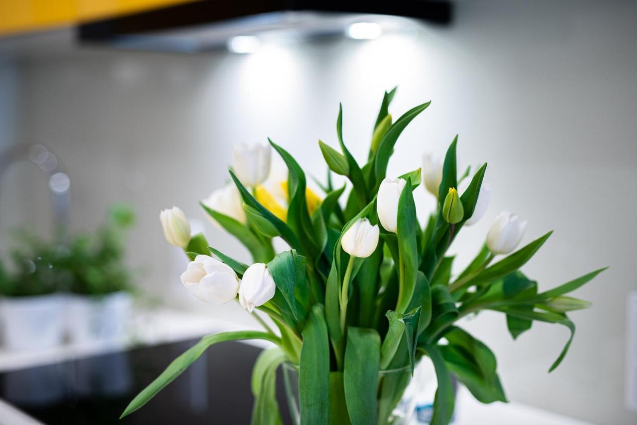Apartamenty Tespis - Francuska Atal Park II Katowice Bagian luar foto